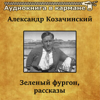 Знакомство с «Сопвичем» - Аудиокнига в кармане & Владимир Левашов