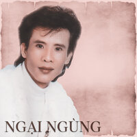 Duyên Tình - Tuan Vu