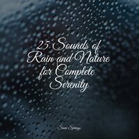 Splashing Drops - Sampling XL & Musique Zen Garden & Lullaby Rain