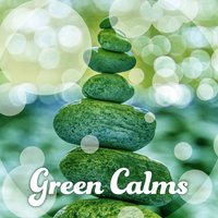 Evening Meditation - Calm Music Masters