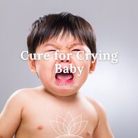 Quiet Time - Rain Noise - Zen Nature Library