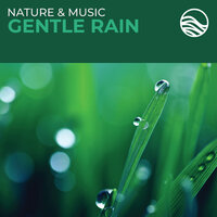 Tiny Rivers - David Arkenstone