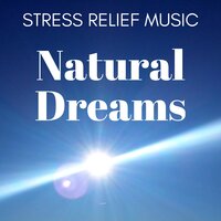 Nature On Relax - Walter Stress