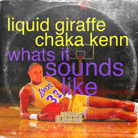 What It Sounds Like - Kenny Summit & Liquid Giraffe