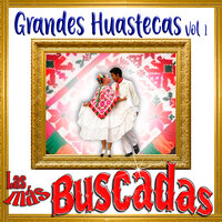 Paloma Azul - Los Huastecos de Oro