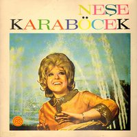 Bir İhtimal Daha Var - Neşe Karaböcek