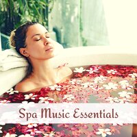 In the Right Place at the Right Time - Serenity Relaxation Music Spa