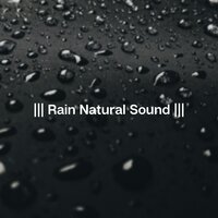 Rain Walk in the Evening - Sleep & Rain