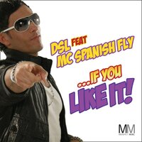 If You Like It - DSL & MC Spanish Fly & Will Bailey