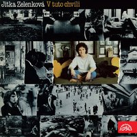 Budu to já - Jitka Zelenková & Jiří Schelinger