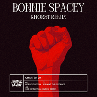 Walking The Distance - Bonnie Spacey