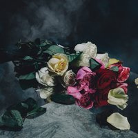 Masquerade - Lower Spectrum