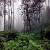 Am Rain No.3 - First Dream