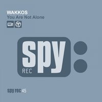 You Are Not Alone - Wakkos