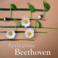 Beethoven: Sextet for 2 Horns and String Quartet in E flat, Op. 81b - 2. Adagio - Hermann Baumann & Vladimir Dshambasov & Gewandhaus Quartett & Ludwig van Beethoven