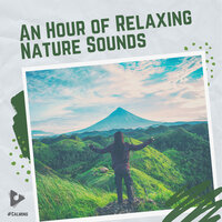 Nature Perfection - #Calming & Nature Sounds