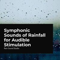 Cold Heavy Showers - Rain Sound Studio