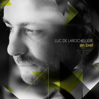 Quelque chose d'animal - Luc De Larochelliere