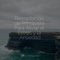 Solo Contigo - Canciones de Cuna para Bebés Acadèmico & Canção de Ninar Bebê & Sonidos De La Naturaleza