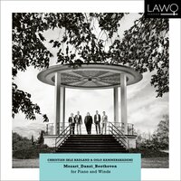 Quintet in D minor, Op. 41: II. Andante sostenuto - Oslo Kammerakademi & Christian Ihle Hadland