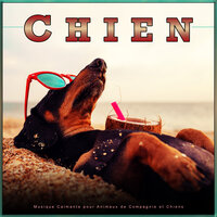 Musique pour aider mon chien à dormir - Musique Calmante Pour Chiens & Musique D'Endormissement Pour Chiens & Musique pour Chiens