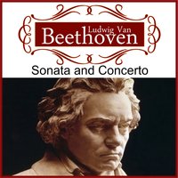 Violin Concerto in D Major, Op. 61: II. Larghetto - Festival Symphony Orchestra & Sandor Ryszek & Stephan Brian & Ludwig van Beethoven