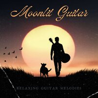 Sunset Strings - Relaxing Guitar Melodies