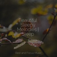 Night Notes - Yoga & Kings of Nature & Meditation Awareness