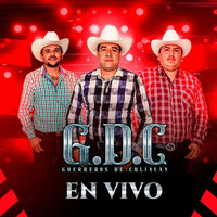 El Collar De Guamuchil (En Vivo) - Guerreros De Culiacan