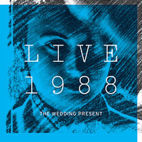 Introduction - The Wedding Present