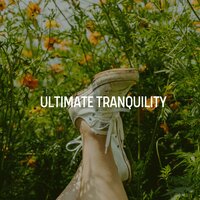 Deep in Thought - Relaxing music
