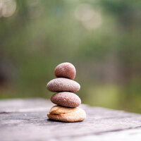 Streams of Zen - Jazz Music Therapy for Cats & Music For Cats & Cat Music Therapy