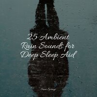 Soft Window Rains - Sounds of Nature White Noise Sound Effects & Mother Nature FX & Nature Sounds Radio
