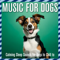 The Bottom of the Garden - Dog Music Dreams & Relax My Dog