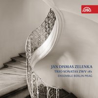 6 Trio Sonatas, ZWV 181, No. 6 in C Minor: II. Allegro - Ensemble Berlin Prag & Dominik Wollenweber & Vilem Veverka & Mor Biron & Barbara Maria Willi & Ulrich Wolff & Ян Дисмас Зеленка