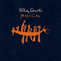 Havatight - Trilok Gurtu