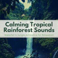 Calming - Energy Flower