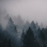 Rainy Night - Tao