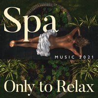 Saxophone Chill - Relaxing Spa Music Zone