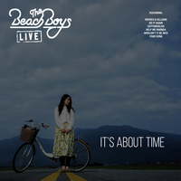Wouldn't It Be Nice - The Beach Boys