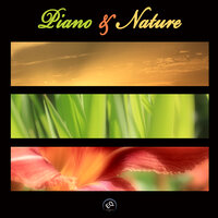 Desire with Beach Waves and Piano Music for Relaxation and Well being in Life - Green Nature Spa
