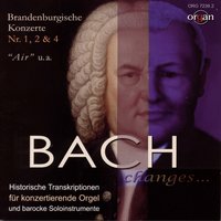 Jauchzet Gott in allen Landen, BWV 51: IV. Choral: Sei Lob und Preis mit Ehren - Thilo Muster & Frans Berglund & Thilo Muster, Frans Berglund & Johann Sebastian Bach