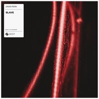 Slave - David Penn