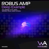 Deep Example - Robus Amp & Music Addict