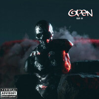 OPEN - Gun iX