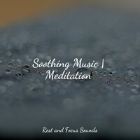 Mountain of Harmony - Academia de Música para Massagem Relaxamento & Tranquil Music Sound Of Nature & Deep Sleep Music Experience