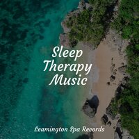 Lazy Morning - Nature Sound Collection & Relaxing Rain Sounds & Fabricantes De Lluvia