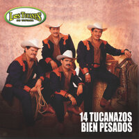 El Puño de Polvo - Los Tucanes De Tijuana