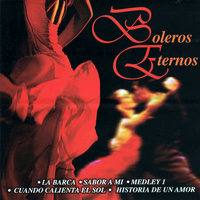 Medley 1: Solamente una Vez / Vaya Con Dios - Dave Gordon