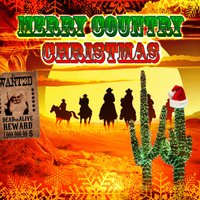 I'll Be Home for Christmas - John Anderson